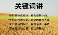 阿拉维斯：铁血铸就积分榜上的坚实堡垒