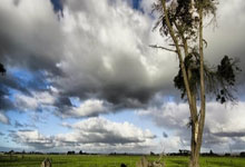 阿拉维斯：铁血铸就积分榜上的坚实堡垒